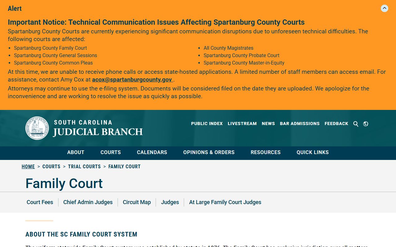 Georgetown County court dockets Family Court overview