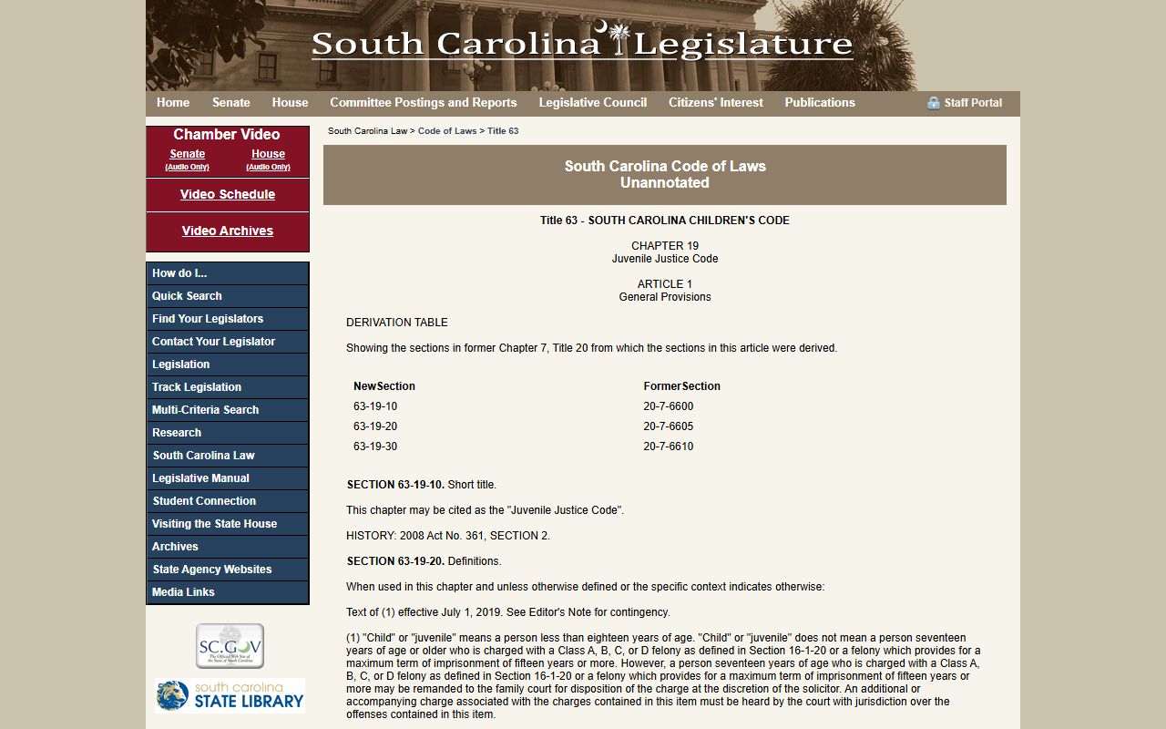 Georgetown County criminal court records juvenile confidentiality statute