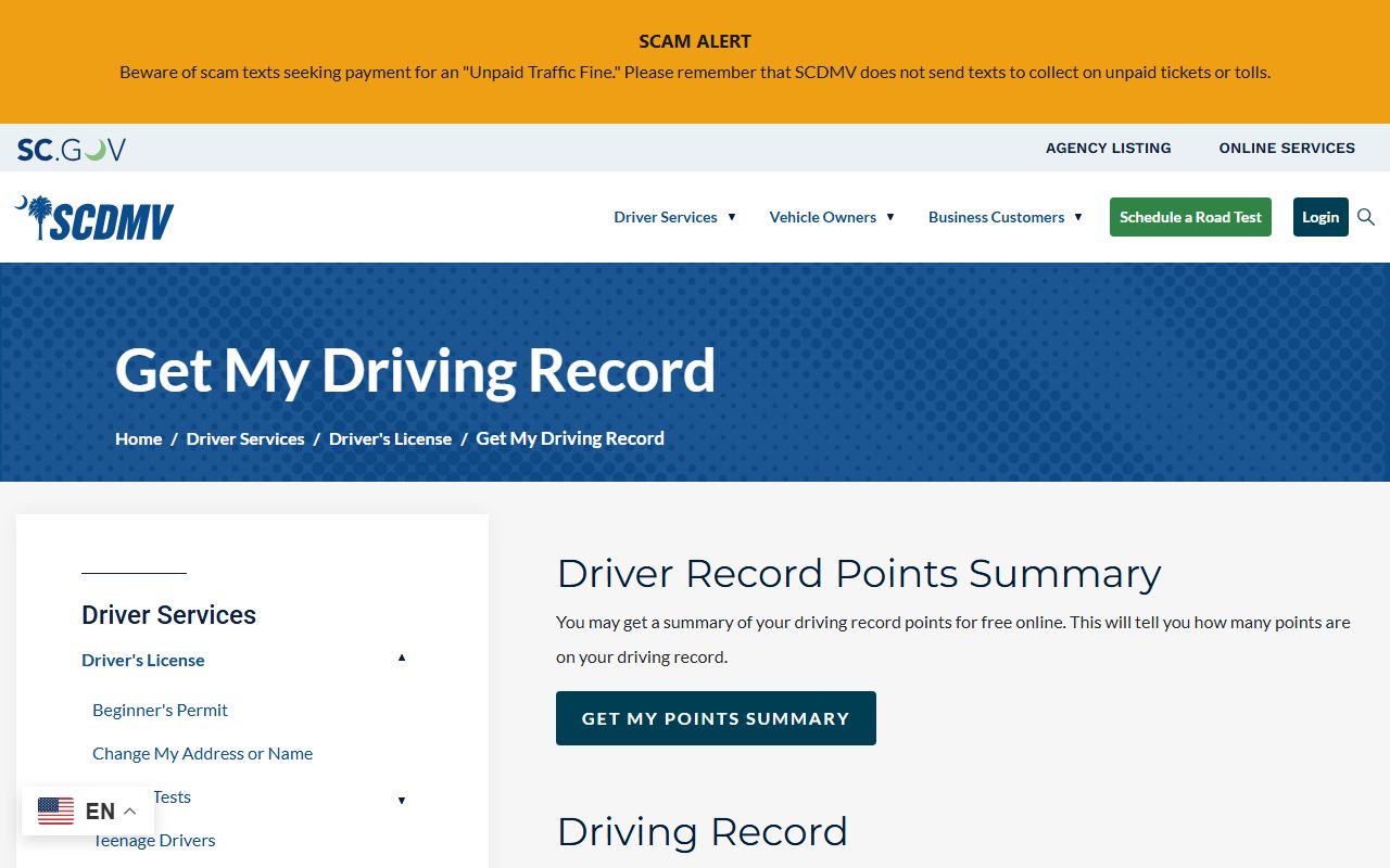 Georgetown County traffic court records SCDMV driving record page
